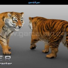 View "Modelado de personajes 3d Animal Tiger"