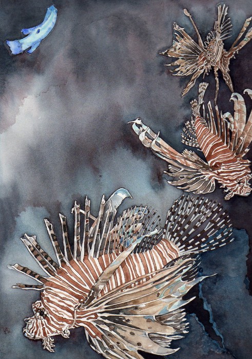 Lionfish