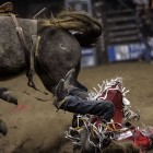 View "Toughest Cowboy Rodeo"